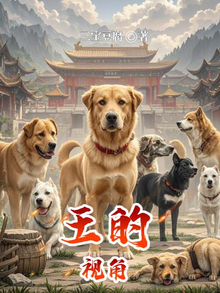 王的视角